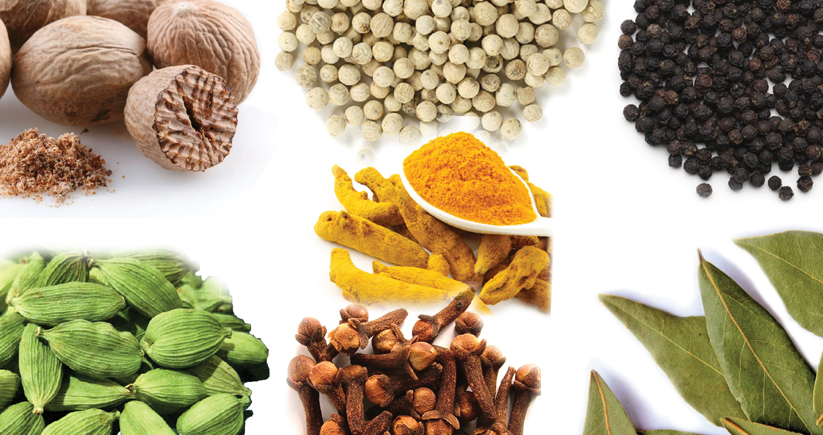 kerala origin spices exporter